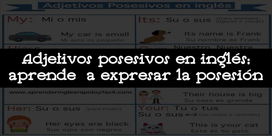 Adjetivos posesivos en inglés: aprende a expresar la posesión