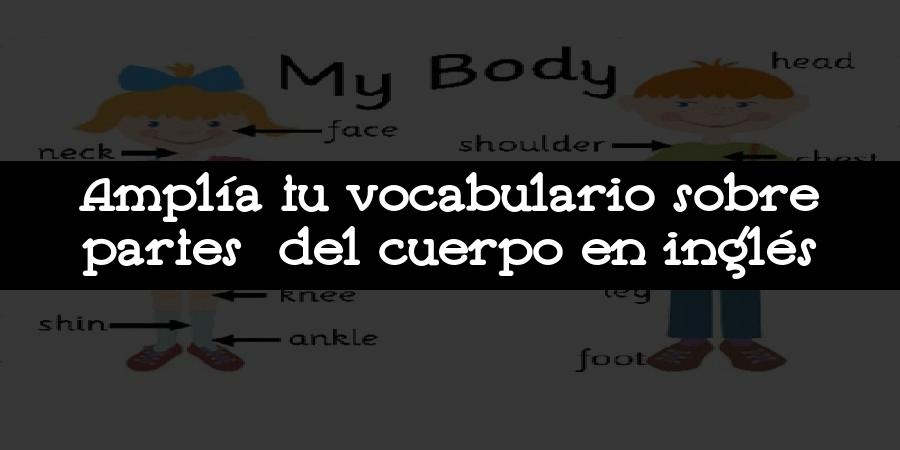 Amplía tu vocabulario sobre partes del cuerpo en inglés