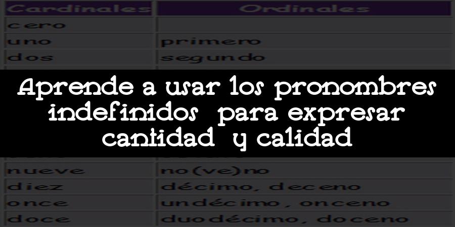 Aprende a usar los pronombres indefinidos para expresar cantidad y calidad