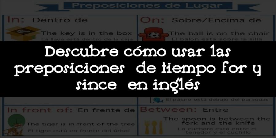 Descubre cómo usar las preposiciones de tiempo for y since en inglés