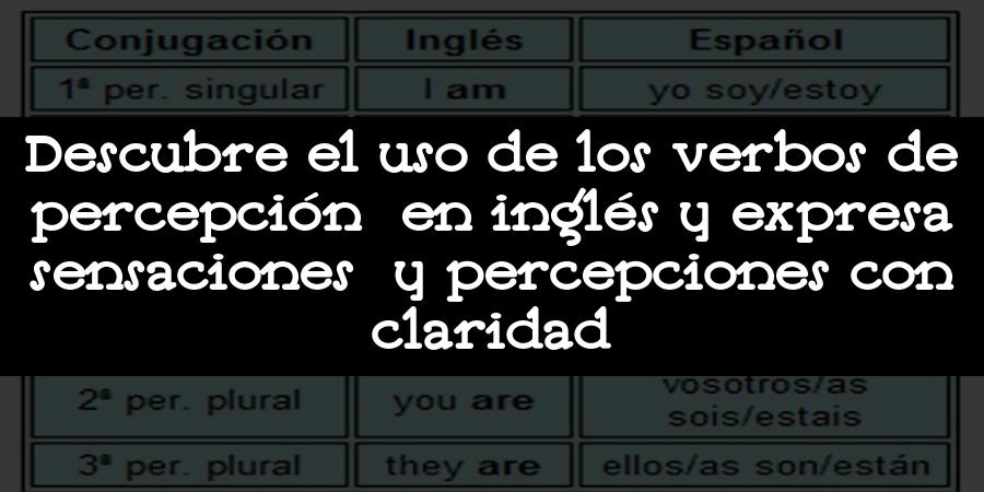 Descubre el uso de los verbos de percepción en inglés y expresa sensaciones y percepciones con claridad