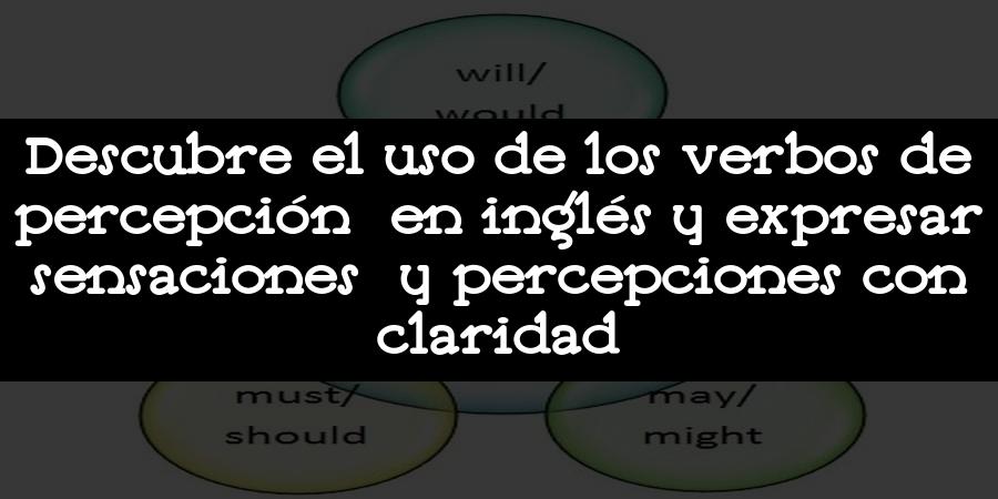 Descubre el uso de los verbos de percepción en inglés y expresar sensaciones y percepciones con claridad