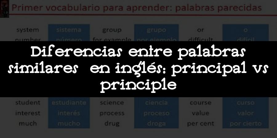 Diferencias entre palabras similares en inglés: principal vs principle