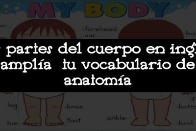 Las partes del cuerpo en inglés: amplía tu vocabulario de anatomía