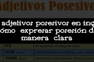 Los adjetivos posesivos en inglés: cómo expresar posesión de manera clara
