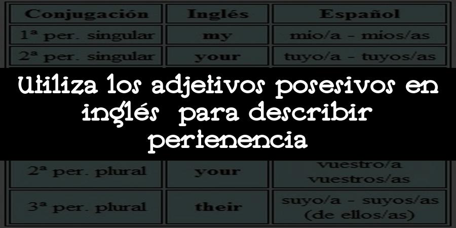 Utiliza los adjetivos posesivos en inglés para describir pertenencia