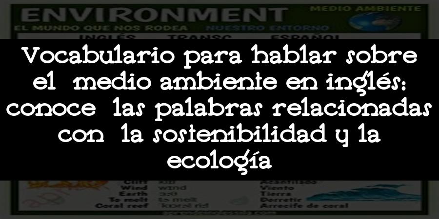 Vocabulario para hablar sobre el medio ambiente en inglés: conoce las palabras relacionadas con la sostenibilidad y la ecología